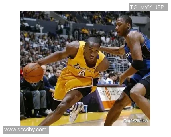 科比突然宣布重新登陆NBA赛场，球迷们纷纷为之欢欣鼓舞